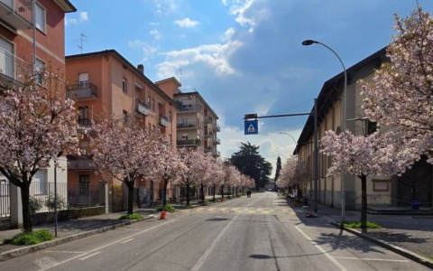 Chiusura di via Casnida a Treviglio per festeggiare la fioritura dei ciliegi