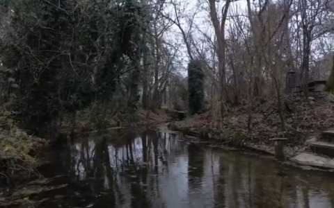 Conflitto tra Comune e Gep per il “Bosco del Manzù”