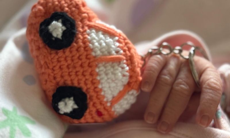 “Il filo che unisce”: Croce rossa e Lions Club insieme per la comunità