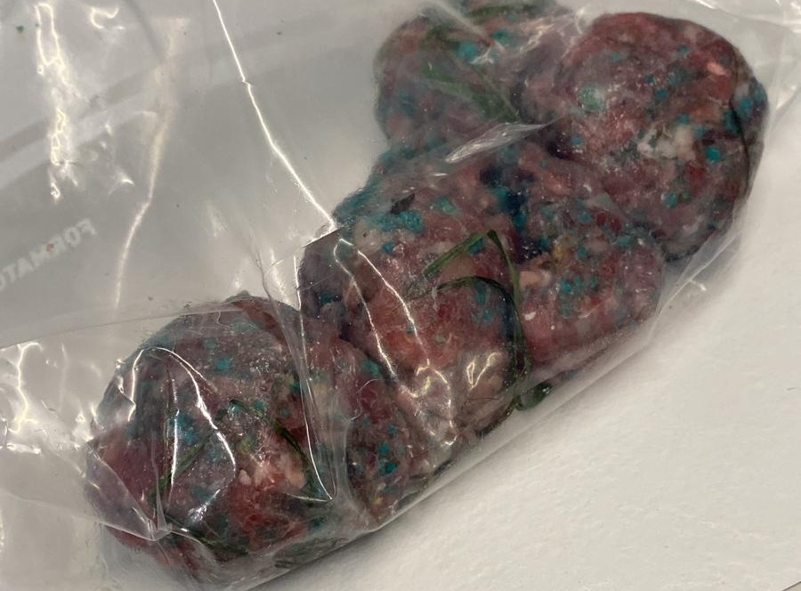 Polpette avvelenate nel giardino, residenti in allerta a Canonica