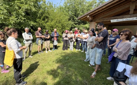 Slow Food e la riscoperta delle erbe spontanee in cucina