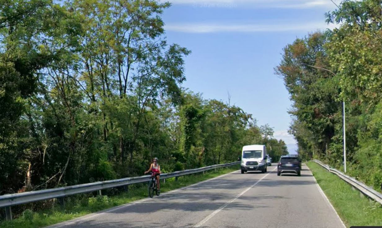 Abbattimento degli alberi sul cavalcavia verso l’ospedale di Treviglio