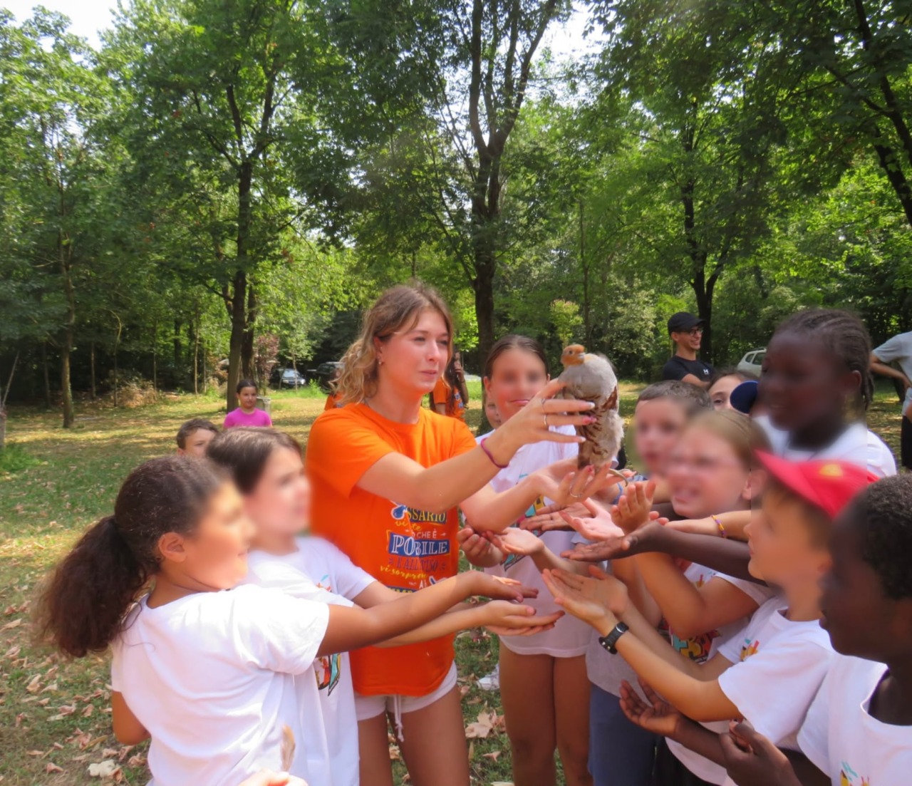I bambini del Cre partecipano al ripopolamento delle starne nel parco di San Rocco