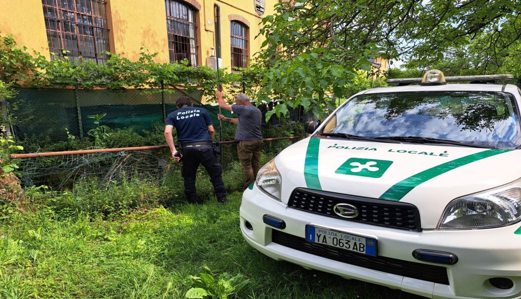 Una donna sorpresa a scaricare rifiuti nella roggia di Treviglio: scattano denuncia e sanzioni